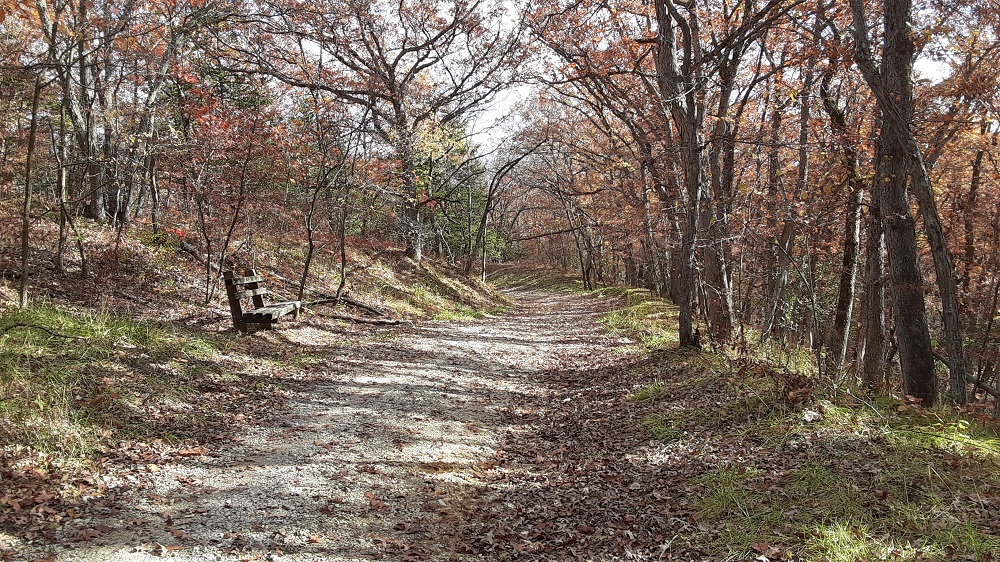 Kuehn Trail in Fall