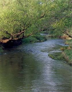Lime Creek