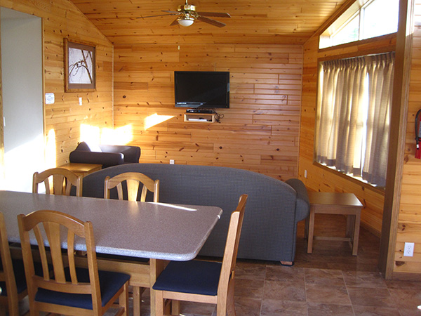 Eagle Cabin - Living Room