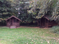 Wren cabin