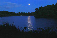 Moonlight over Lake Meyer
