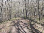 Hiking trail at Kuehn