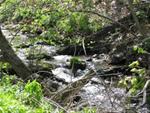 Cold Water Creek that runs though Dutton