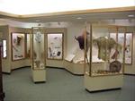 Iowa heritage on display - Calkins Interpretive Center, Hardin County, IA
