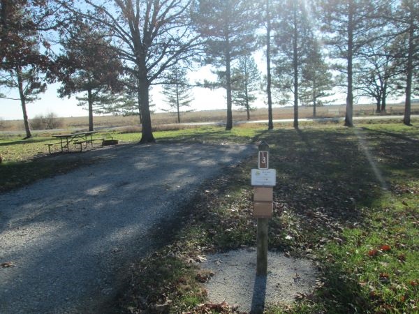 Hickory Grove Primitive Campground Site 3 -No Image
