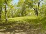 Hickory Hills Mound