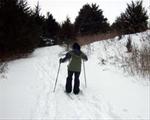 Cross country skiing at Discovery Park