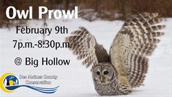 Owl Prowl Feb 9