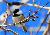 Black-capped chickadee in Winneshiek County