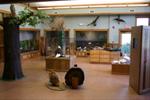 Conservation Center Display Area