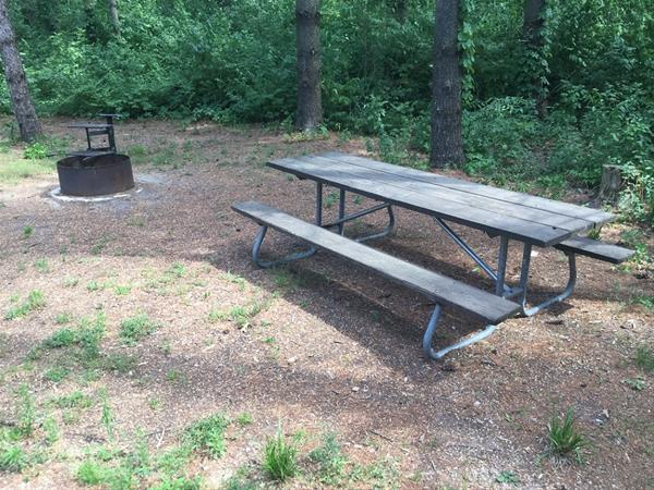 Fontana Park Campsite 6, What Size Are Campground Picnic Tables