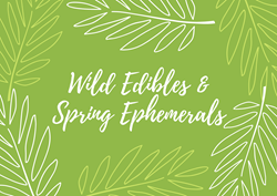 Wild Edibles & Spring Ephemerals