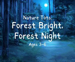 Forest Bright, Forest Night