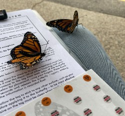 Monarch tagging