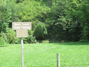 Buck Creek County Park, Campsite #2 -No Image
