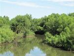 Ackerson Easterly Wildlife Area; Wapsipinicon River