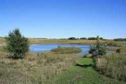 Pond Prairie and Trail