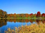 Fall Color Maynes Grove