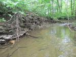 Small stream with limestone outcropping