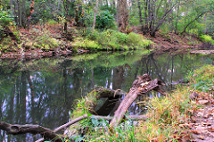 Bohemiam Creek in Ludwig Park