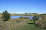 Pond, Prairie, and Trail